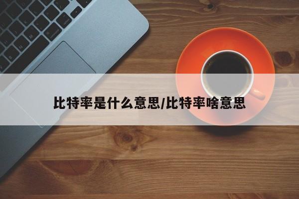 比特率是什么意思/比特率啥意思