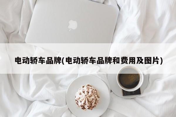 电动轿车品牌(电动轿车品牌和费用及图片)