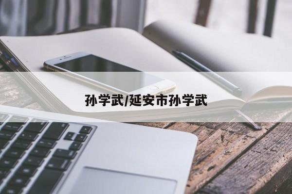 孙学武/延安市孙学武