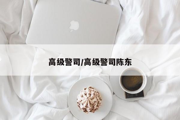 高级警司/高级警司陈东