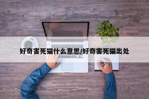 好奇害死猫什么意思/好奇害死猫出处